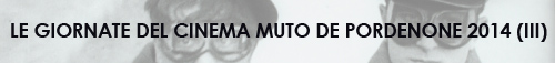 pordenone 2014 3